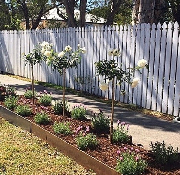 Garden maintenance in Brisbane